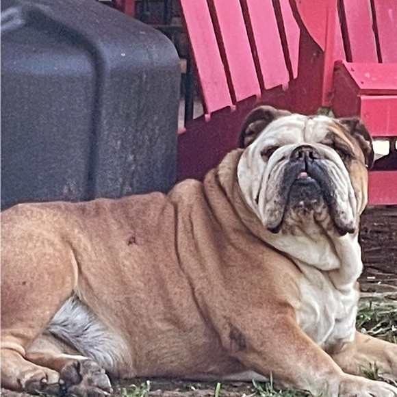 Meet your Posher, Helen - Picture 5 of 9